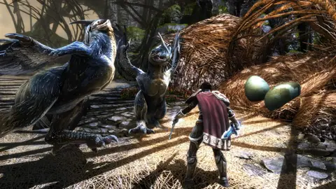 Captura de tela de Kingdoms of Amalur: Re-Reckoning (4 de 4)