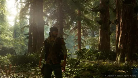 Captura de tela de Days Gone (1 de 4)