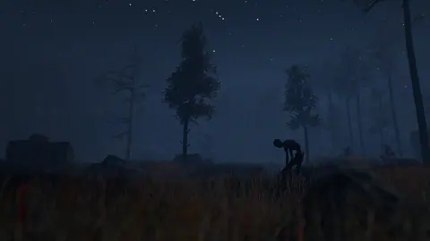 Captura de tela de Through the Woods (2 de 4)