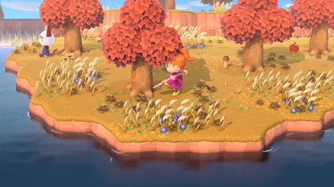 Captura de tela de Animal Crossing: New Horizons (1 de 4)