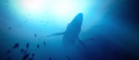 Captura de tela de Under the Waves (1 de 4)