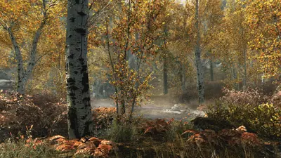 Captura de tela de The Elder Scrolls V: Skyrim - Special Edition (1 de 4)