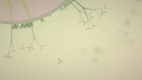 Captura de tela de Eufloria (1 de 4)