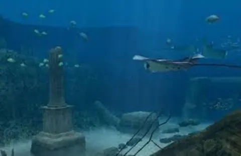 Captura de tela de Endless Ocean (1 de 3)