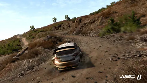 Captura de tela de WRC 8 (3 de 4)