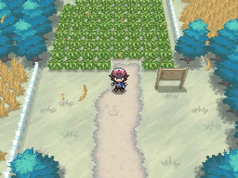 Captura de tela de Pokémon Black Version (4 de 4)
