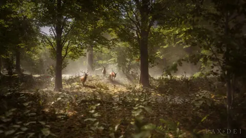 Captura de tela de Pax Dei (1 de 4)