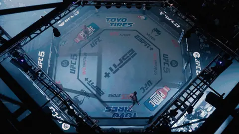 Captura de tela de EA Sports UFC 5 (3 de 4)