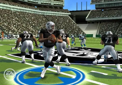 Captura de tela de Madden NFL 09 (3 de 4)