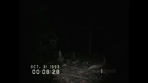 Captura de tela de Don't Scream (4 de 4)