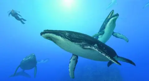 Captura de tela de Endless Ocean: Blue World (1 de 4)
